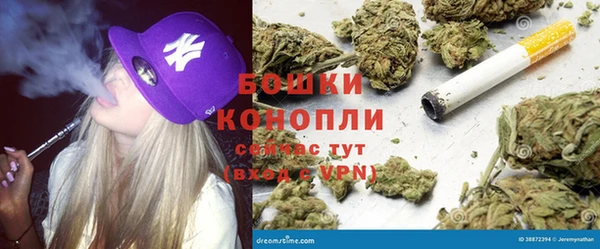 гидра Армянск