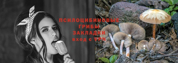 синтетический гашиш Арсеньев